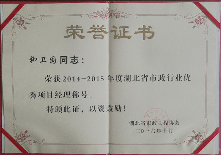 优秀项目经理袁柳卫国